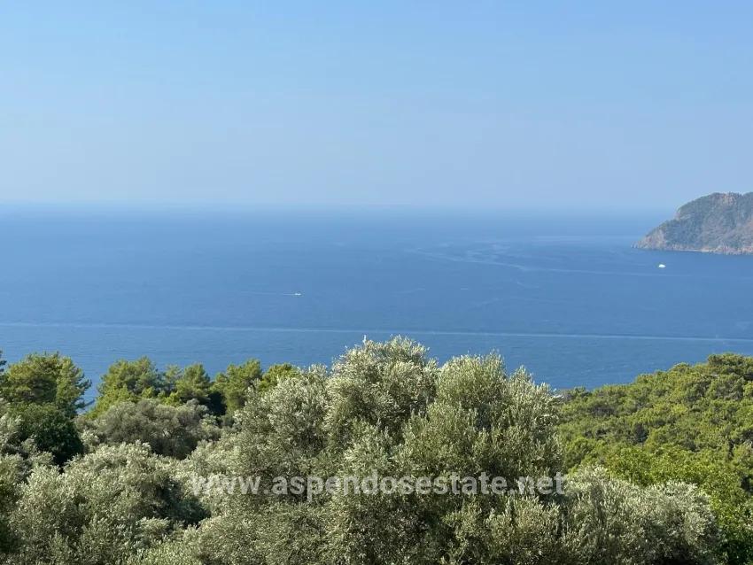 Köyceğiz Çandır Mah. Satılık Tarla - Tarla İmar Durumlu - 21.000 m²