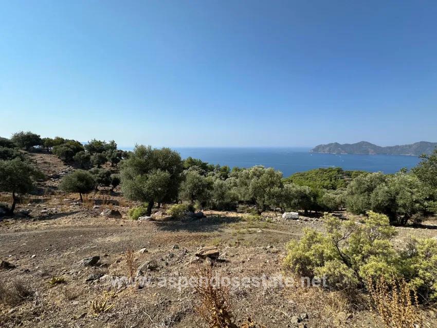 Köyceğiz Çandır Mah. Satılık Tarla - Tarla İmar Durumlu - 21.000 m²