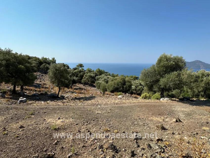 Köyceğiz Çandır Mah. Satılık Tarla - Tarla İmar Durumlu - 21.000 m²