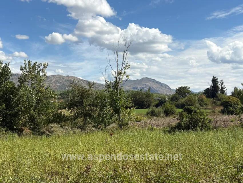 Köyceğiz Zeytinalanı Mah. Satılık Tarla - Tarla İmar Durumlu - 10.500 m²