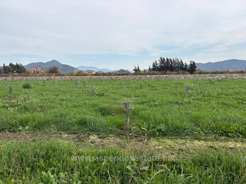 Eskiköy'de 19.663M2 Çiftlik Arazisi Ve Ev