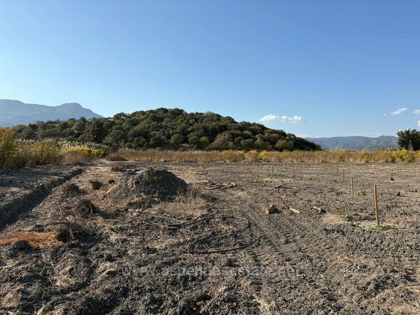 Eskiköy'de 19.663M2 Çiftlik Arazisi Ve Ev