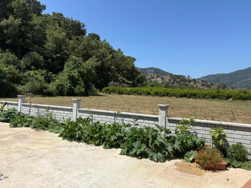 Dalyan Karadağ Mevkiinde 2500M2 Tarla İçerisinde 120M2 Müstakil Ahşap Ev