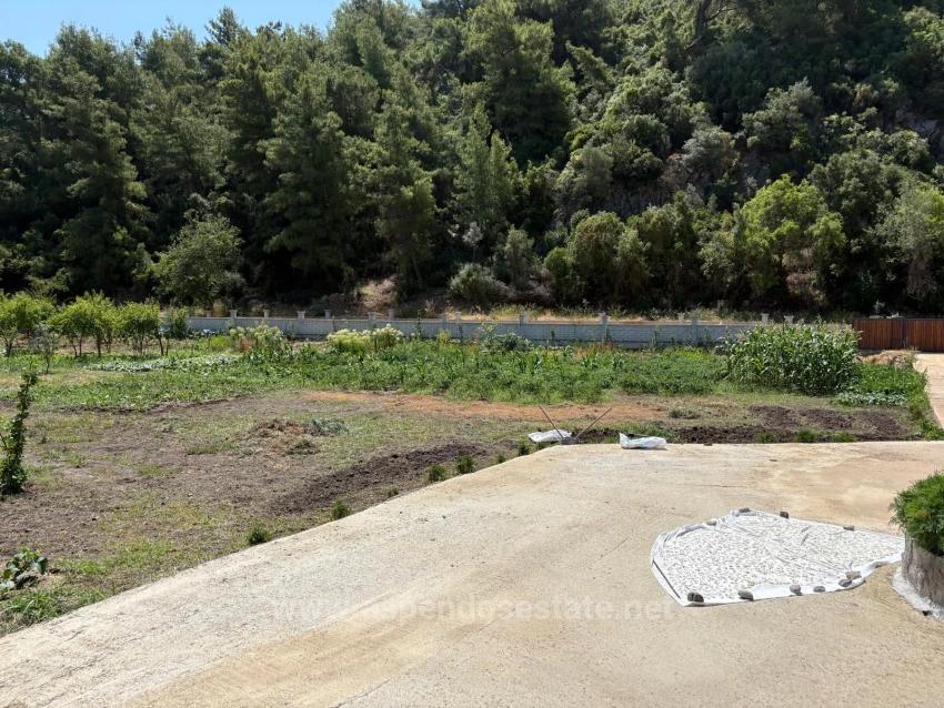 Dalyan Karadağ Mevkiinde 2500M2 Tarla İçerisinde 120M2 Müstakil Ahşap Ev