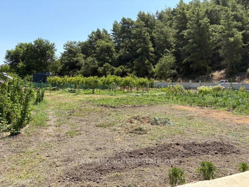 Dalyan Karadağ Mevkiinde 2500M2 Tarla İçerisinde 120M2 Müstakil Ahşap Ev