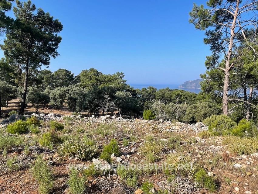 Köyceğiz Çandır Mah. Satılık Tarla - Konut İmar Durumlu - 10.481 m²