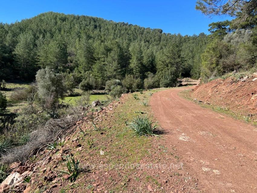 Gökbel'de Doğa Ve Orman İçerisinde Satılık Tarla