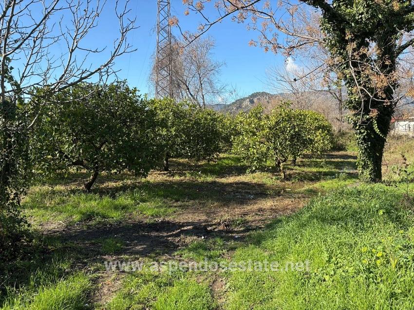 Ortaca Dalyan Mah. Satılık Tarla - Tarla İmar Durumlu - 16.500 m²