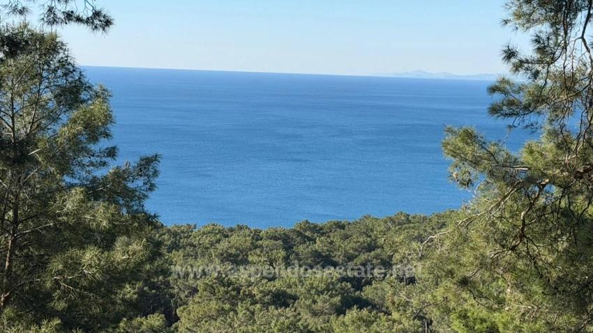 Köyceğiz Çandır Mah. Satılık Tarla - Konut İmar Durumlu - 5.715 m²