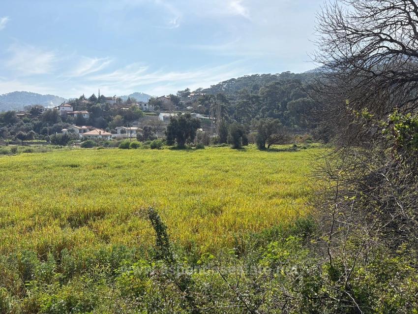 Köyceğiz Çandır Köyü'de Hisseli Rızai Taksimli 2.023M2 Satılık Tarla