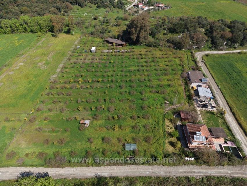 Eskiköy'de 11,000M2 Arsa İçinde Turizm Amaçlı İşletme Satılık