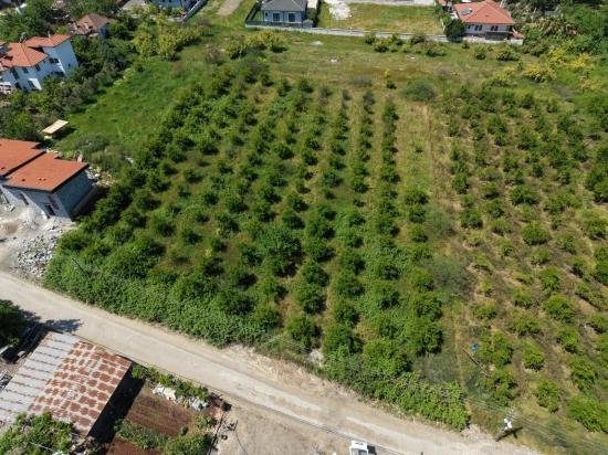 Okçular'da 1050M2 Köy Yerleşik Alanında Satılık Arsa