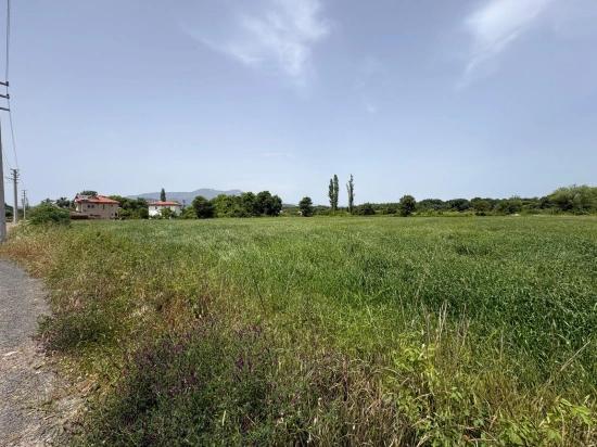 Okçular Marmarlı'da 2390M2 Satılık Arsa