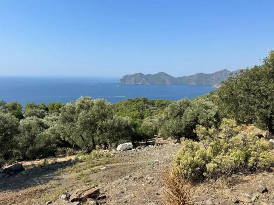 Çandır'da deniz manzaralı 21.000 m2 satılık 2b tarla