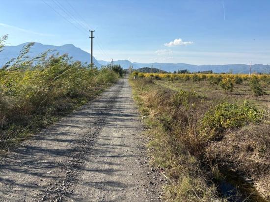 Eskiköy'de 21500M2 Satılık Nar Bahçesi