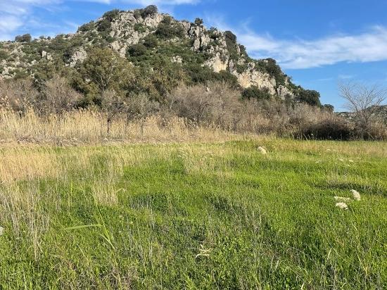 Dalyan'da 6800 M2 %5 Konut İmarlı Satılık Arsa
