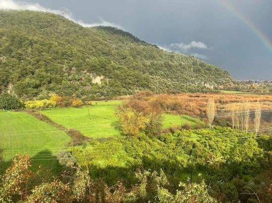 Köyceğiz Çandır'da 35000M2 Satılık Arazi