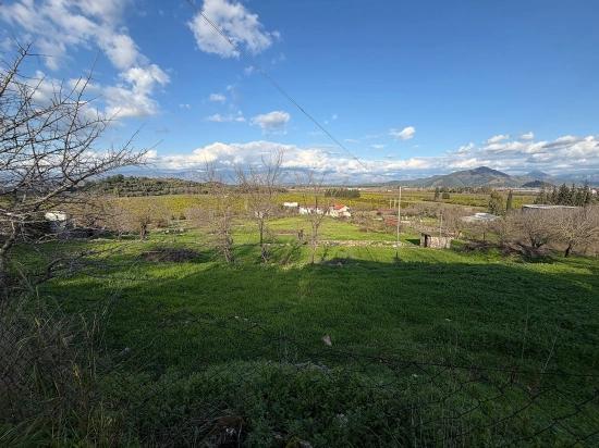 Dalyan'da Göl Manzaralı 11.230M2 Satılık Tarla