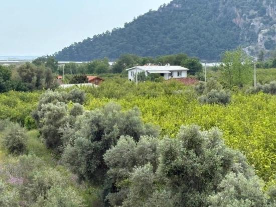 Çandır Köyünde Deniz Ve Göl Manzaralı 1.721M2 Satılık Tarla