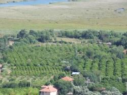 Köyceğiz Çandır Mah. Satılık Tarla - Tarla İmar Durumlu - 19.334 m²