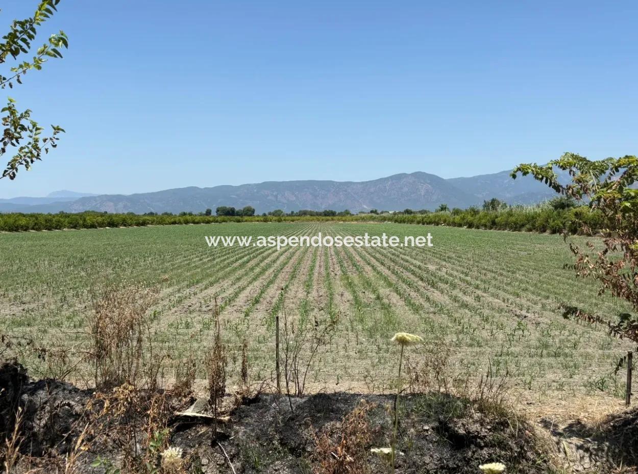 Tepearası'nda 46,550M2 Satılık Tarla