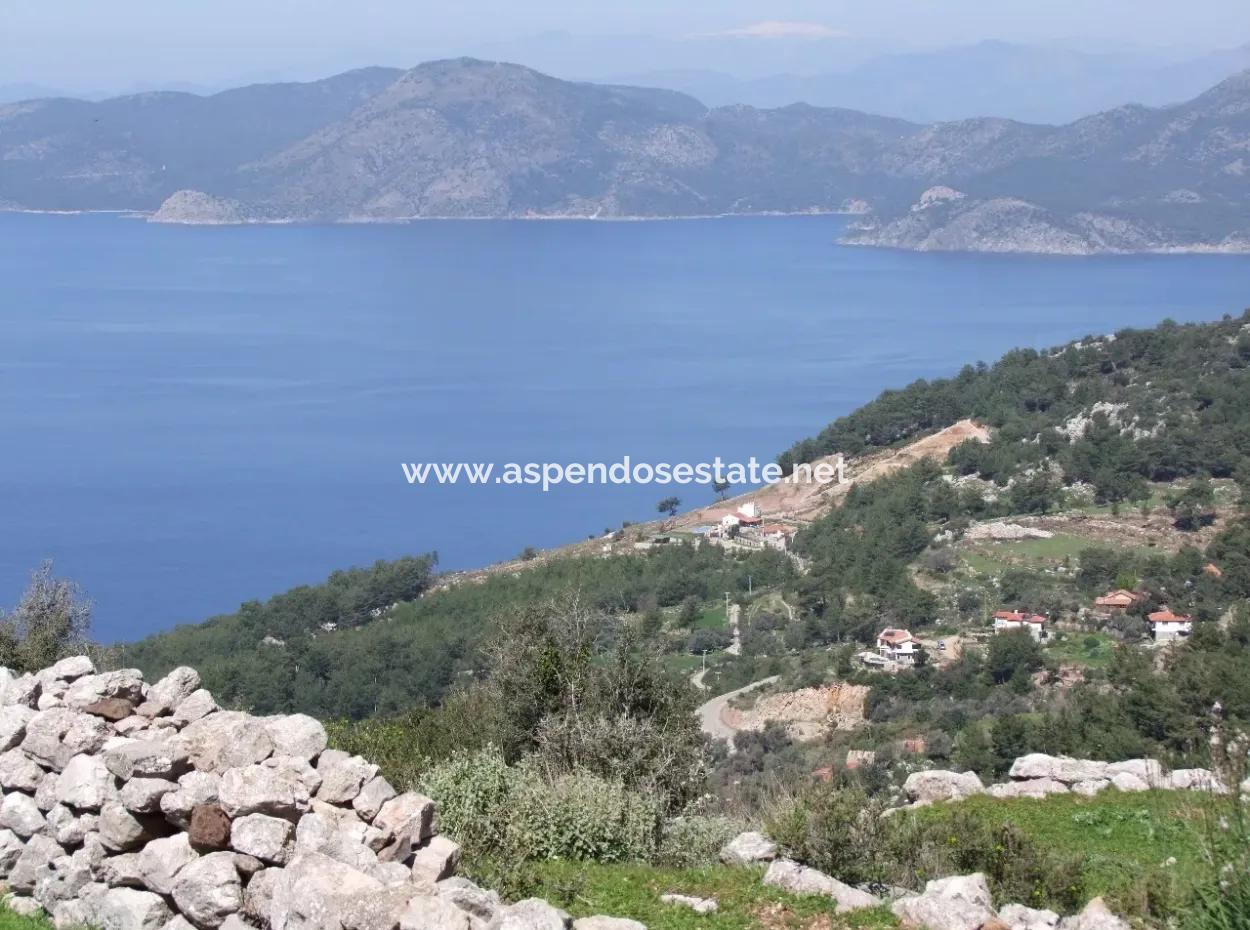 Faralya Satılık Arsa Faralya Deniz Manzaralı 11,286M2 Satılık Turizm Arsası