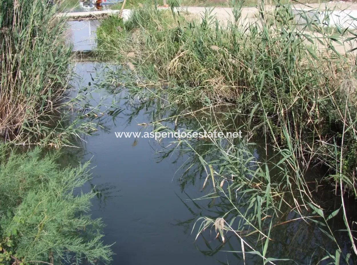 Dalyan İztuzu Satılık Bahçe Dalyan Göle Sıfır Satılık Arsa