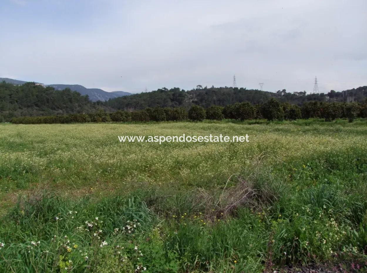 Akyaka Gökçede Satılık Arazi Denize Yakın Çiftlik İçin 21625M2 Satılık Tarla Yatırımlık Satılık Ars
