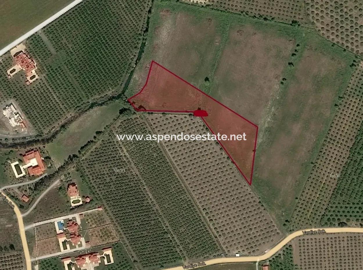 Dalyan Satılık Arsa Dalyan Maraşda 7300M2 %5 İmarlı Satılık Arsa