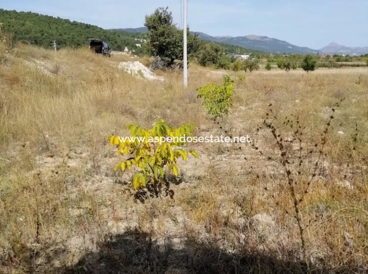 Çameli Satılık Arsa Bıcakcı Yoluna Sıfır Satılık 1562M2 Arsa