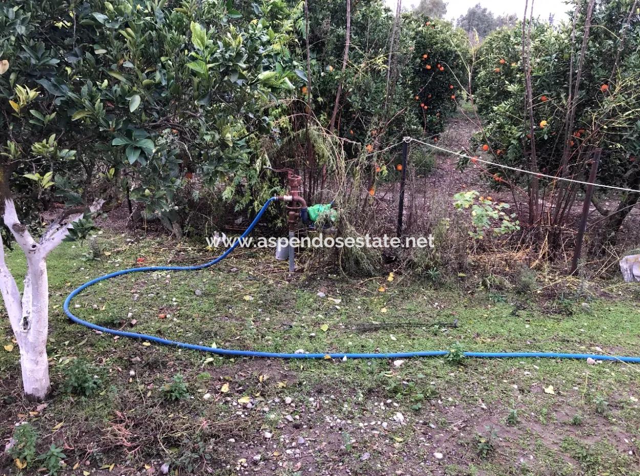 Okçular'da 1222M2 Arsa İçerisinde Satılık Tek Katlı Müstakil Ev