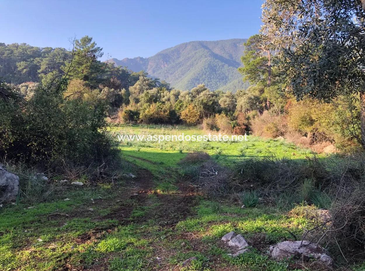 Ekincik Satılık Arsa 10,038M2 Satılık Arsa Tarla