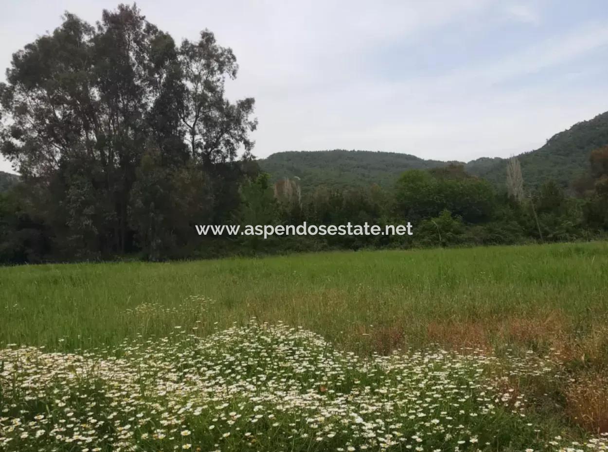 Çamlida  Satılık Arsa 11516M2 Satlık Bahçe