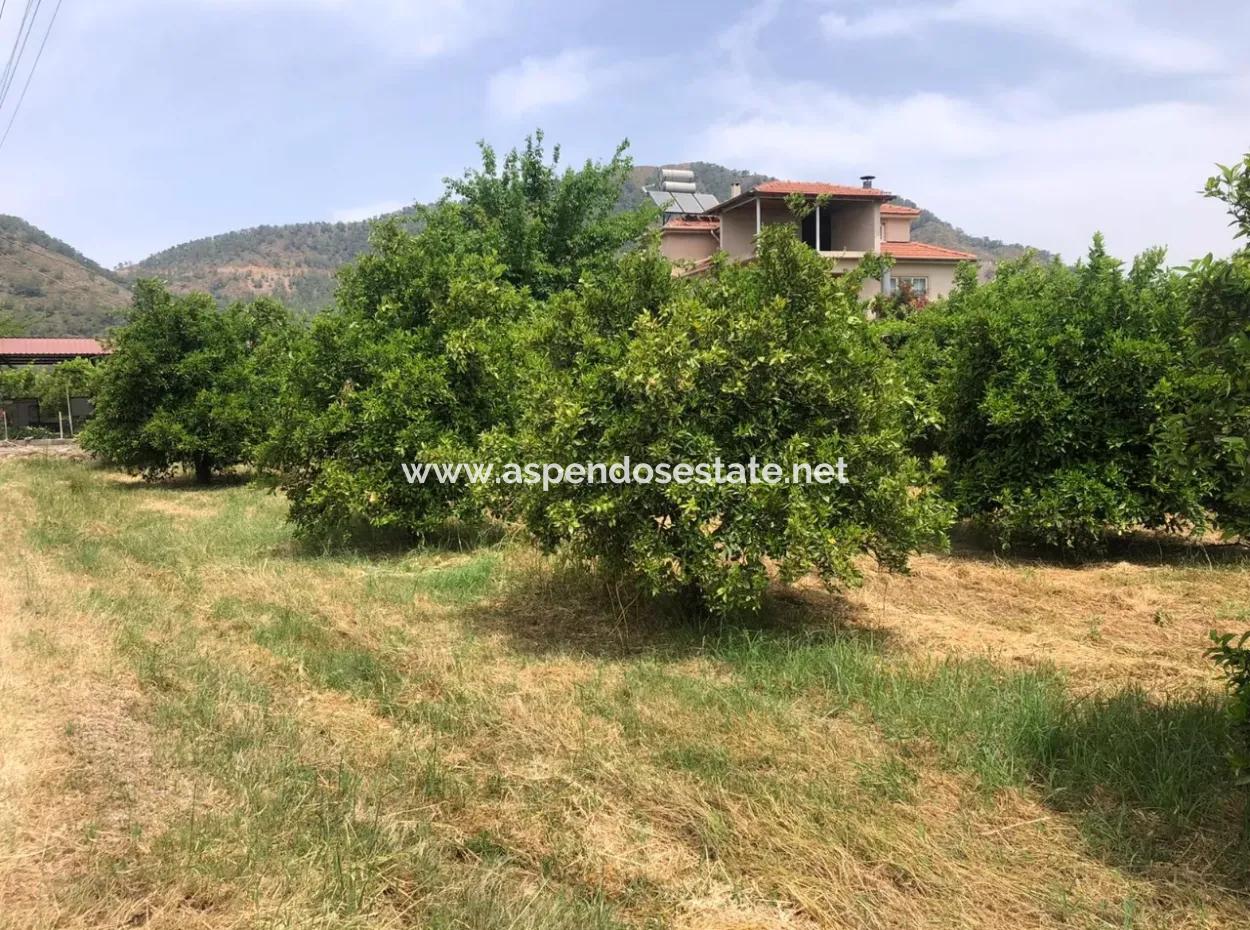 Ekşiliyurtda 1085M2 Satılık Arsa