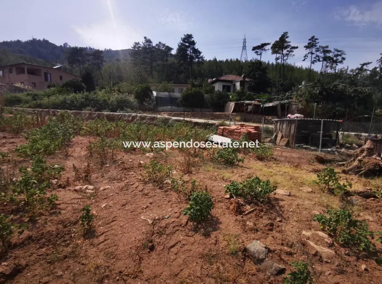 Marmaris Çamlı Satılık 1245M2 İmarlı Arsa