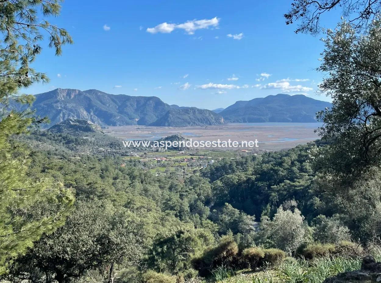 Çandır Da Göl Manzaralı 4000M2 Satılık Tarla