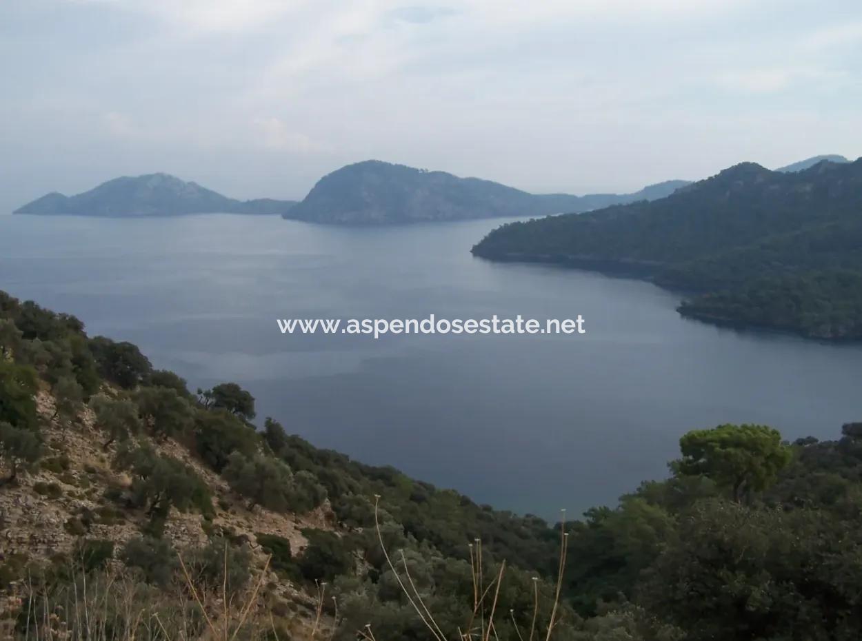 Sarsalada Deniz Manzaralı 4274M2 Arsa İçinde Satılık Taş Ev