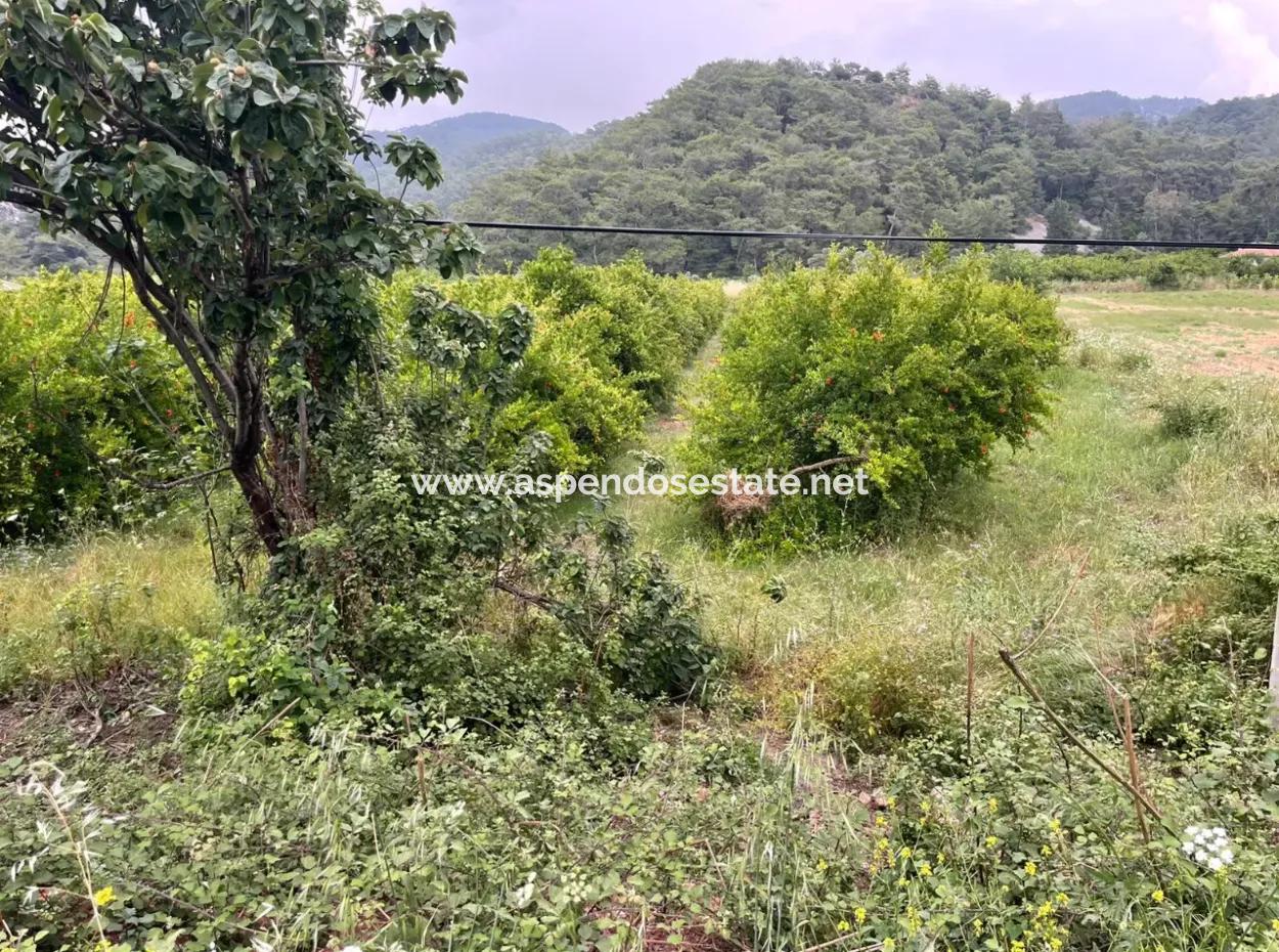 Gökbelde 14,000M2 Satılık Tarla