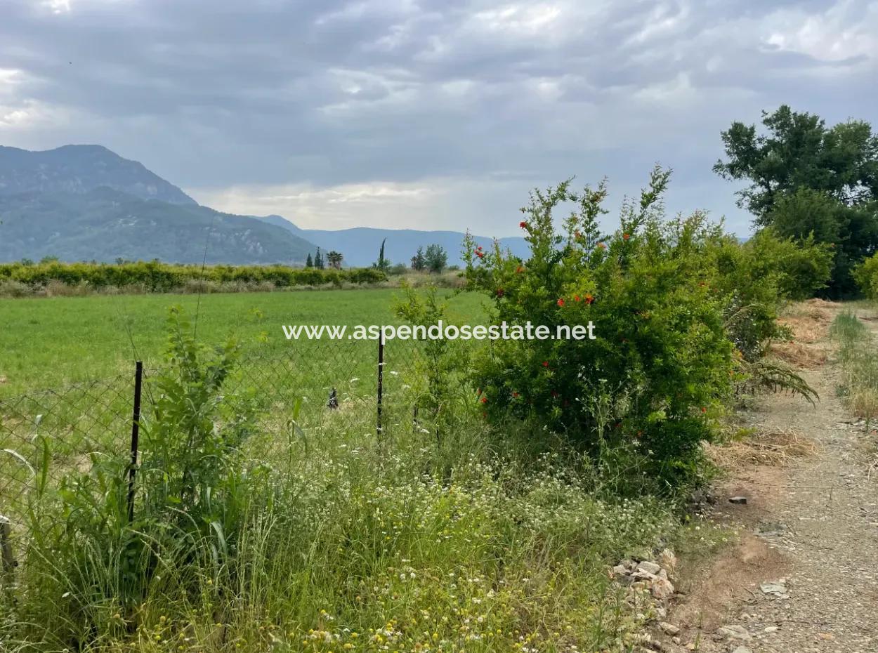 Dalyan''da Merkeze Yakın 2,528M2 Satılık Tarla