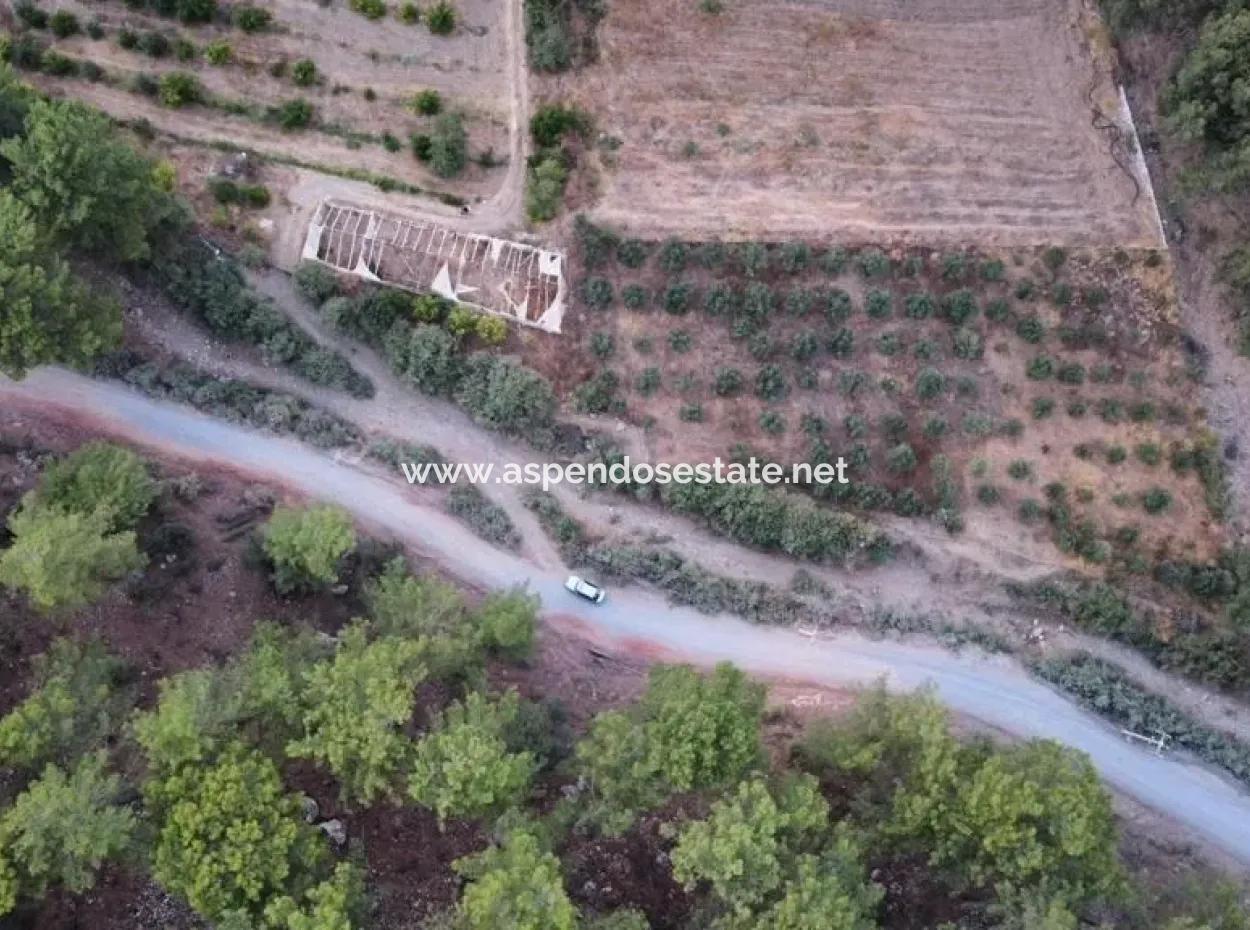 Mergenlide Aşı Koyu Yolu Üzerinde Satılık 3578M2 Tarla