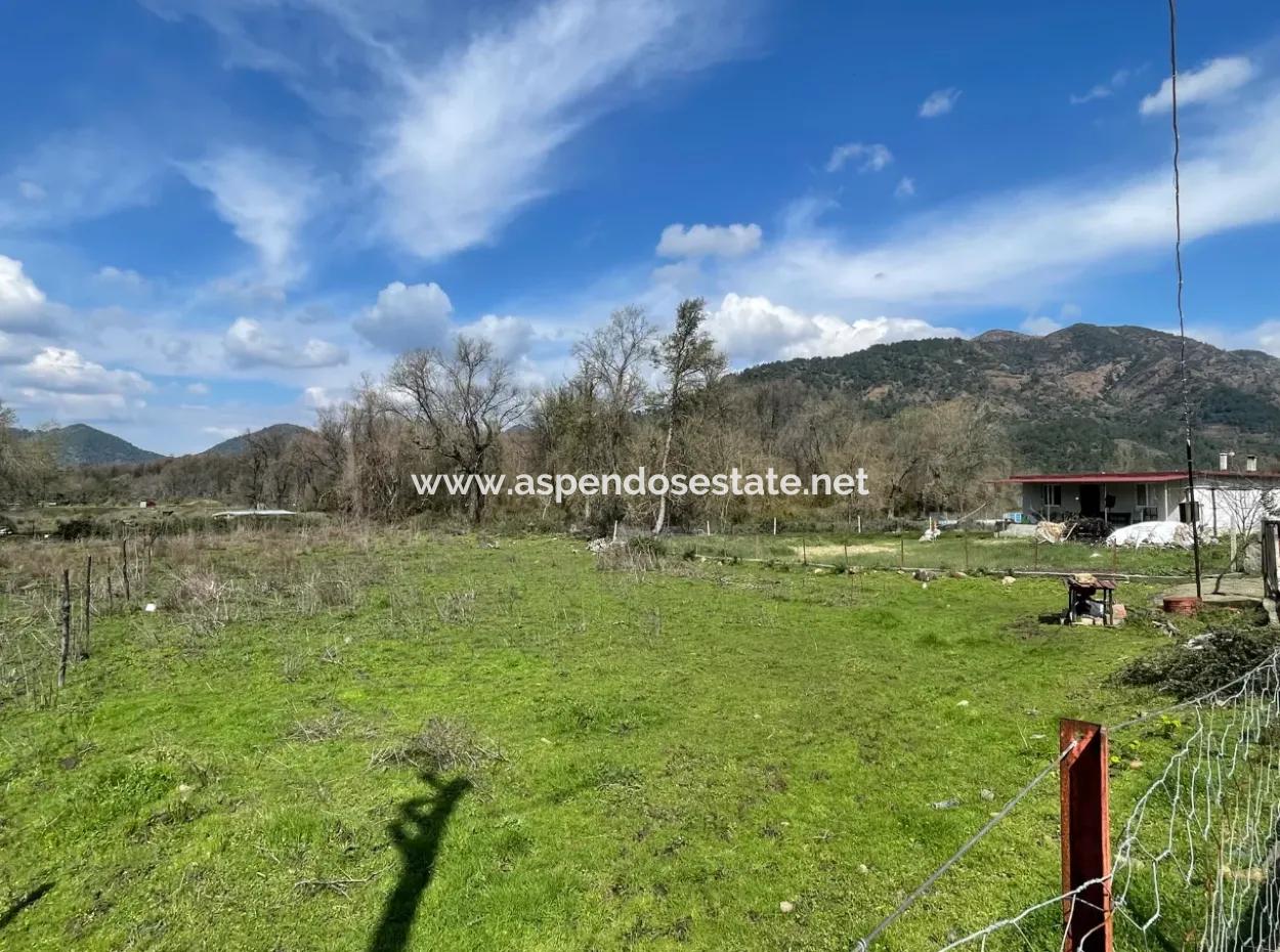 Sultaniye Büyükkaraç Mahallesin Satılık Tarla