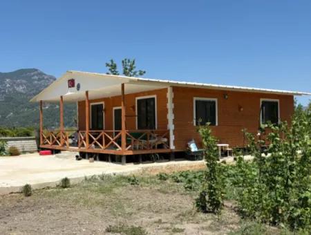 Dalyan Karadağ Mevkiinde 2500M2 Tarla İçerisinde 120M2 Müstakil Ahşap Ev