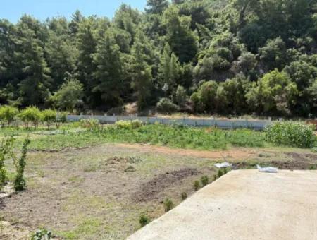 Dalyan Karadağ Mevkiinde 2500M2 Tarla İçerisinde 120M2 Müstakil Ahşap Ev