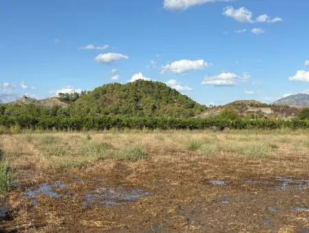 Ortaca Yeşilyurt'ta 3900M2 Satılık Arsa