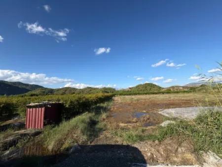 Ortaca Yeşilyurt'ta 3900M2 Satılık Arsa