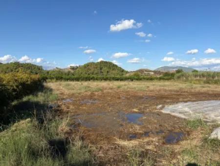 Ortaca Yeşilyurt'ta 3900M2 Satılık Arsa