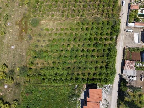 Okçular'da 1050m2 Köy Yerleşik Alanında Satılık Arsa