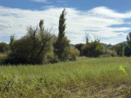 Köyceğiz Zeytinalanı'nda 10.500 M2 Satılık Tarla