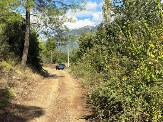 Köyceğiz Zeytinalanı'nda 10.500 M2 Satılık Tarla